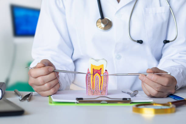 Best Urgent Tooth Repair  in Lake Dallas, TX